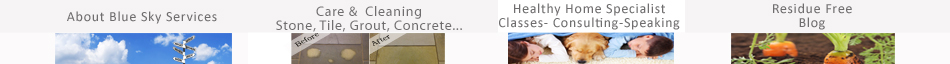 Navbar